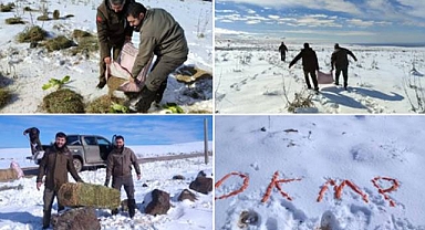 Karacadağ’da yaban hayvanları için yemleme yapıldı