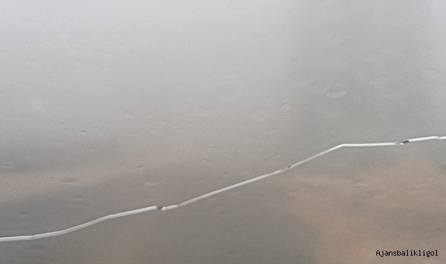 Karaköprü ilçesinde yoğun sis etkili oldu