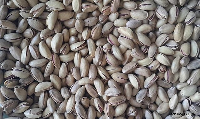 Şanlıurfa'da fıstık fiyatlarında son durum