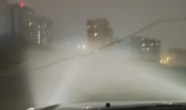 Şanlıurfa'da yoğun sis etkili oluyor