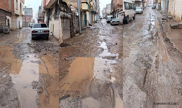 Siverek Belediyesi'nden çamurlu seçim hazırlığı