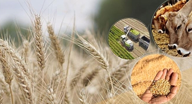 Tarımsal destek ödemeleri hesaplara aktarılıyor