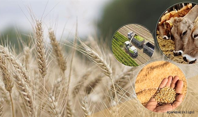 Tarımsal destek ödemeleri hesaplara aktarılıyor