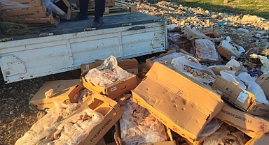 Urfa'da 2 ton bozulmuş tavuk eti ele geçirildi