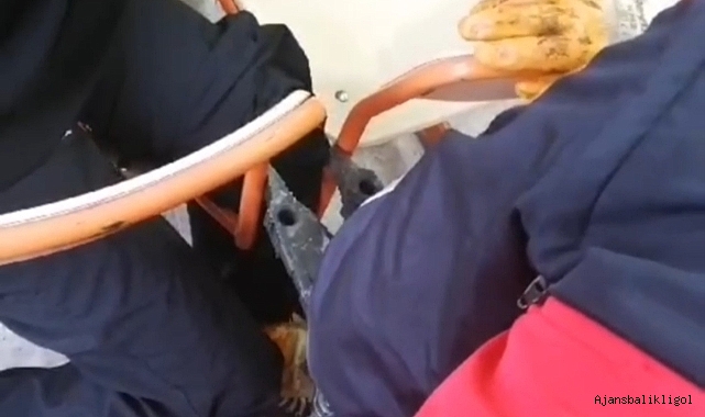 Urfa'da bir okulda ayağı sıraya sıkışan çocuğun yardımına itfaiye yetişti