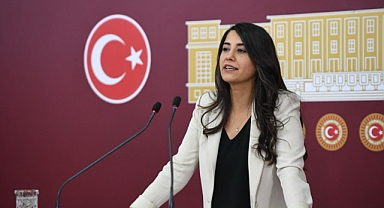 Urfa'da intihar eden doktor Ronahi Satı, Bakan Koca'ya soruldu