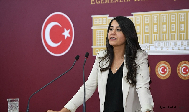 Urfa'da intihar eden doktor Ronahi Satı, Bakan Koca'ya soruldu