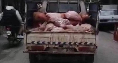 Urfa'da mide bulandıran olay, büyük tepki topladı! 