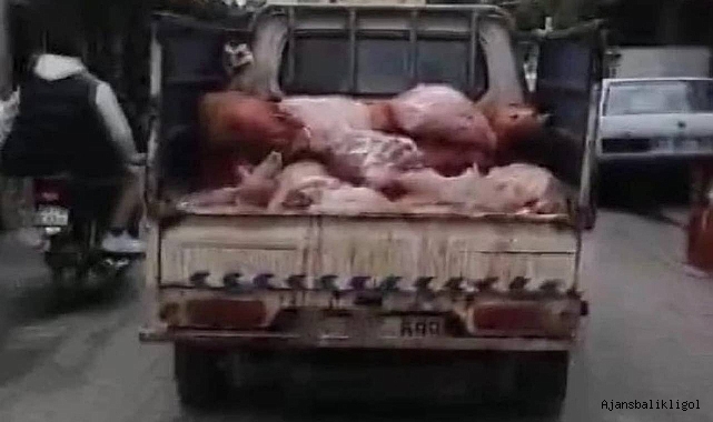 Urfa'da mide bulandıran olay, büyük tepki topladı! 