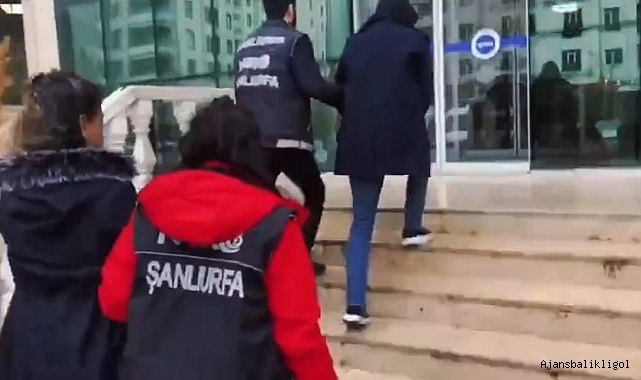 Urfa'da suç örgütüne operasyon! 12 gözaltı