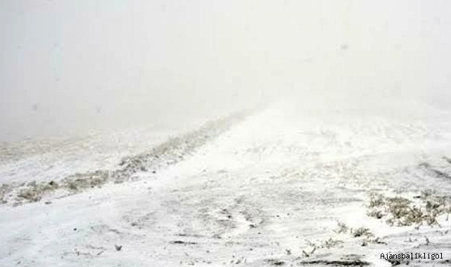 Urfa'da yola çıkacaklar dikkat! Yoğun kar yağışına karşı uyarı!