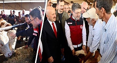 Urfa dahil 11 ilde yetiştiricilere bedelsiz hayvan dağıtımı tamamlandı