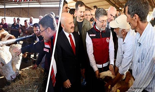 Urfa dahil 11 ilde yetiştiricilere bedelsiz hayvan dağıtımı tamamlandı
