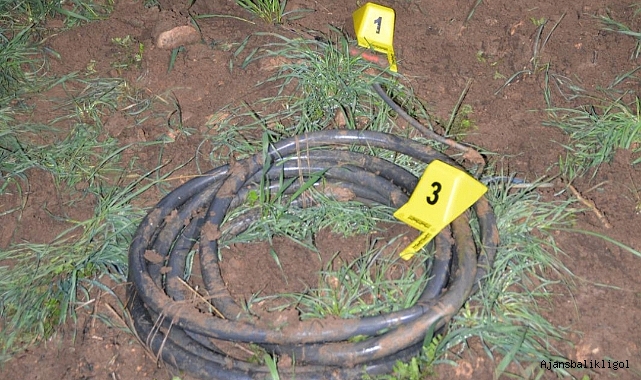 Ceylanpınar TİGEM’de hırsızlık yapan şahıslar yakalandı!