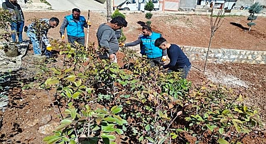 Eyyübiye’de, ağaçlandırma ve yeşillendirme çalışmaları devam ediyor