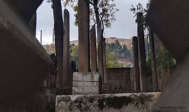 Şanlıurfa’da 4 kişi hayatını kaybetti!