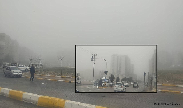Şanlıurfa’da yoğun sis etkili oldu! 