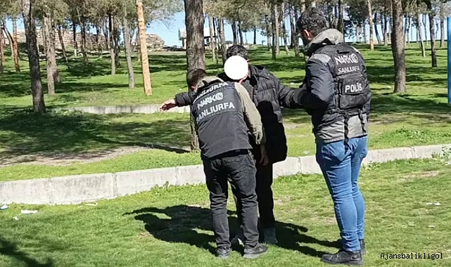 Siverek'te ‘Narko Alan’ uygulaması! 245 şahıs sorgulandı