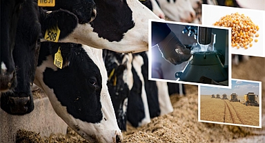 Tarımsal destek ödemeleri bugün hesaplara aktarılıyor! 