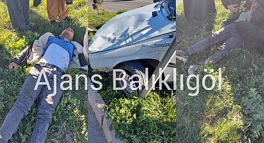 Urfa’da kaza! Sürücü yaralandı