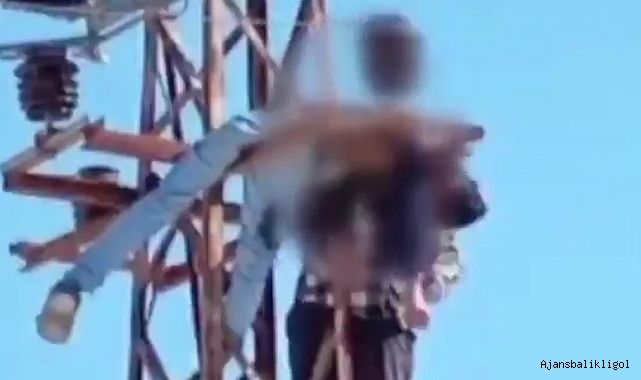 Urfa'da korkunç olay! Elektrik direğinde asılı kaldı