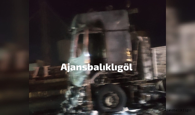 Urfa'da park halindeki tır küle döndü