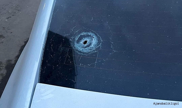 Viranşehir'de maganda kurşunu bir araca isabet etti