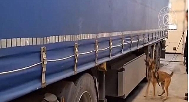 Yüklü miktarda kokain ve esrar maddesi ele geçildi!