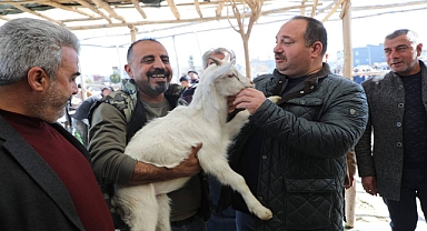 Başkan Ekinci canlı hayvan pazarını ziyaret etti