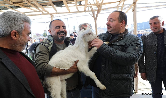 Başkan Ekinci canlı hayvan pazarını ziyaret etti