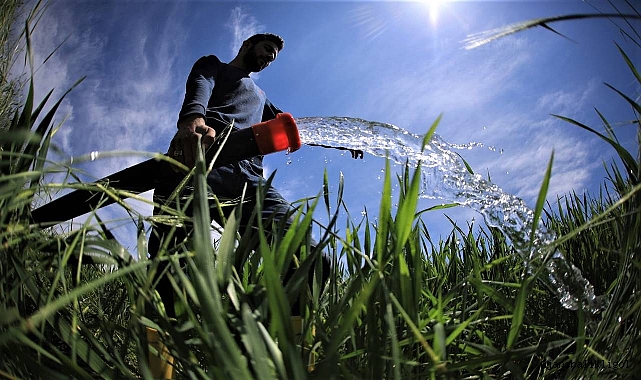 Çiftçilere müjde! Hesaplarına aktarıldı