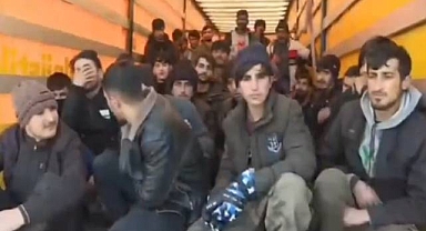 Kalkan-17 operasyonu! 881 düzensiz göçmen yakalandı