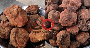 Keme, fiyatıyla dudak uçuklatıyor!