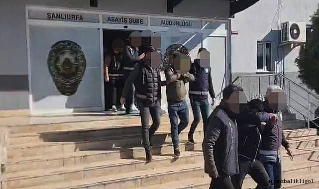 Şanlıurfa'da dolandırıcılık operasyonu! 17 tutuklama 