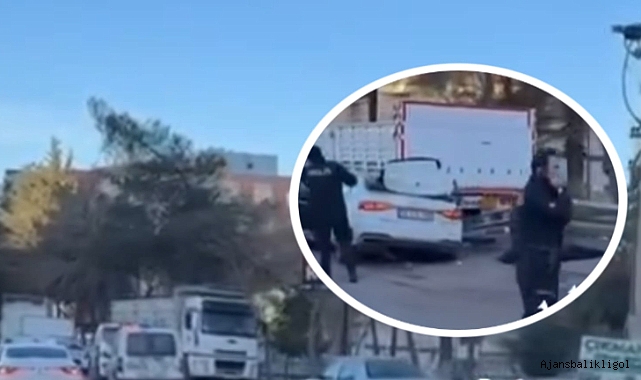 Şanlıurfa'da feci olay! Park halindeki tırın altına girdi