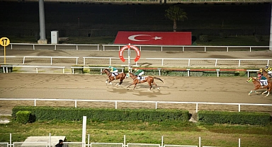 Şanlıurfa Vali Kupası Koşusu tamamlandı