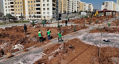 Seyrantepe'de 21 Bin Metrekarelik Yeşil Alan İçin Çalışmalar Sürüyor