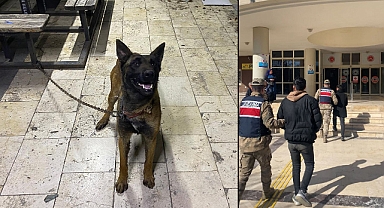 Urfa’da K-9 cinsi kurt köpeğini çalan hırsızlar yakalandı! 