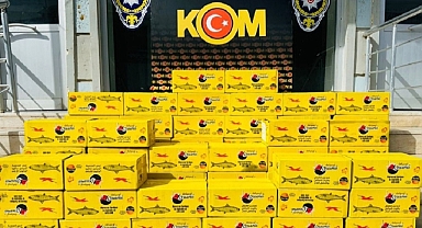 Urfa'da kaçakçılık operasyonu! 1 gözaltı 