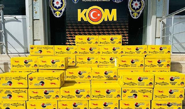 Urfa'da kaçakçılık operasyonu! 1 gözaltı