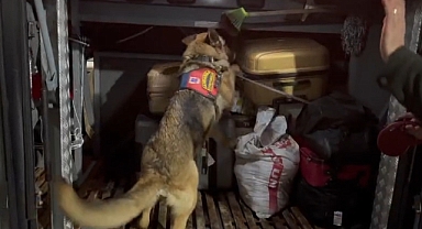 Urfa'da yüklü miktarda uyuşturucu ele geçirildi! Çok sayıda gözaltı 