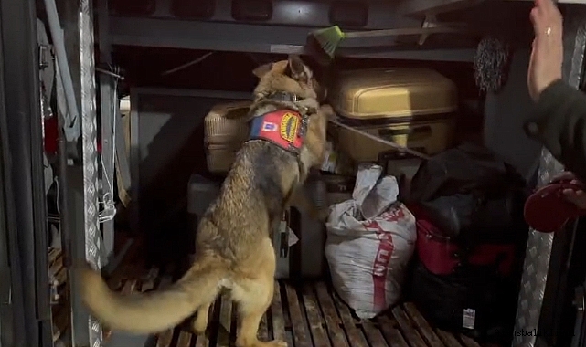 Urfa'da yüklü miktarda uyuşturucu ele geçirildi! Çok sayıda gözaltı