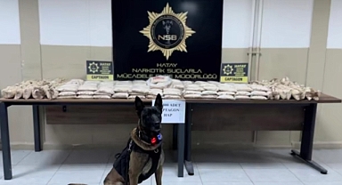 Urfa dahil 25 ilde operasyon! Yüzlerce zehir tacirleri yakalandı 