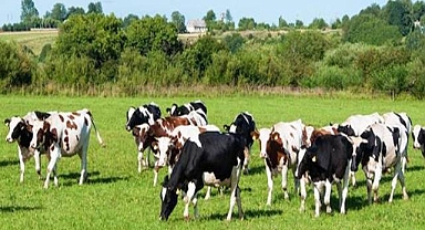 45 projeye 210,6 Milyon TL hibe desteği sağlanacak