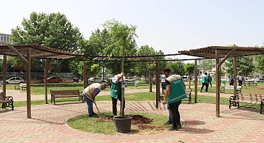 Haliliye Belediyesi ile parklar yaza hazırlanıyor
