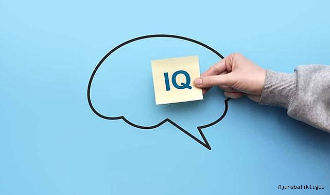 İllere göre IQ seviyeleri belli oldu