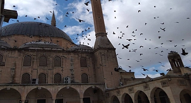 Şanlıurfa’da 5 ailenin acı günü!