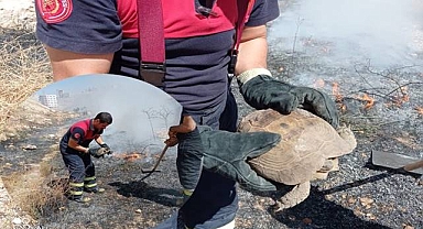 Şanlıurfa’da anız yangınlarına karşı uyarı! 