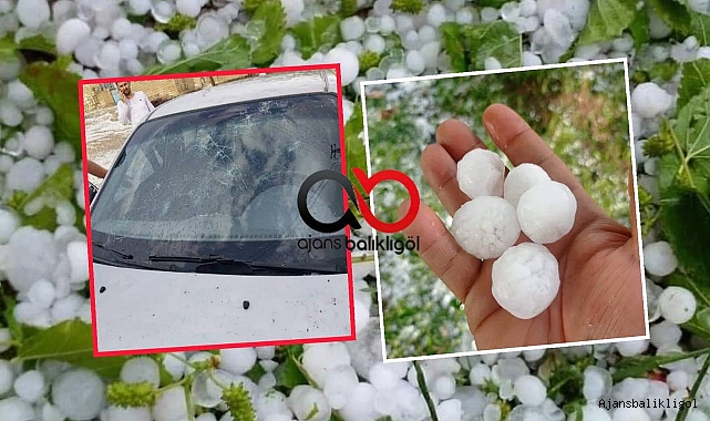 Şanlıurfa'da dolu felaketi! 3 ilçeyi vurdu 