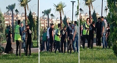 Şanlıurfa’da parktaki ağaç ateşe verildi! 